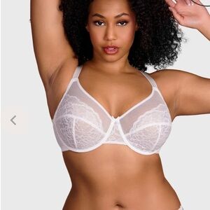 BOGO Sheer White Lace Bra Cardi B Rec) Unlined Non-Padded Underwire Bra 38DD
